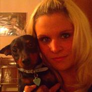 Dvaergpinscher Bevi Zakie