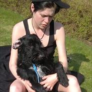 Blanding af racer Kenai