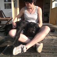 Blanding af racer Kenai