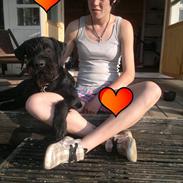 Blanding af racer Kenai