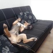 Blanding af racer Keld