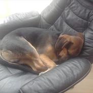 Blanding af racer Keld