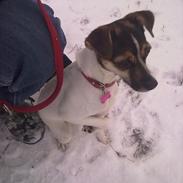 Blanding af racer Mille