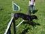 Blanding af racer Lassie - Agility :D