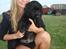 Flat coated retriever Konrad <3 - Konrad og jeg <3