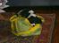 Cavalier king charles spaniel Vicky (R.I.P)