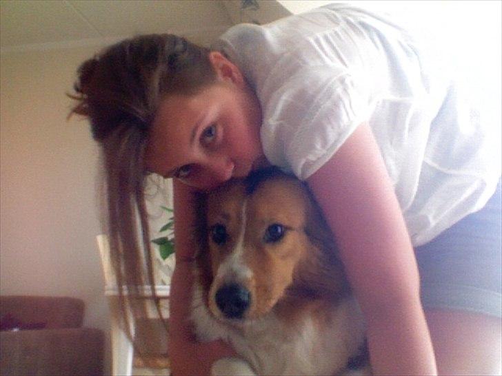 Blanding af racer Bamse  - øhh?:D billede 18