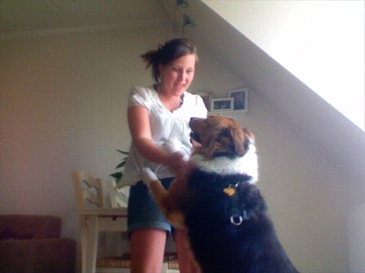 Blanding af racer Bamse  - Vi legede :D billede 10