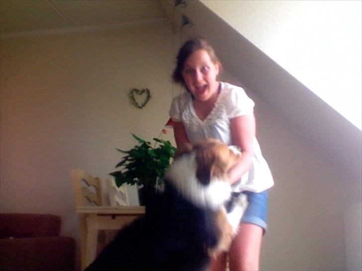 Blanding af racer Bamse  - Okay DET ser underligt ud;D men lige meget? vi har det jo sjovt ;D billede 14