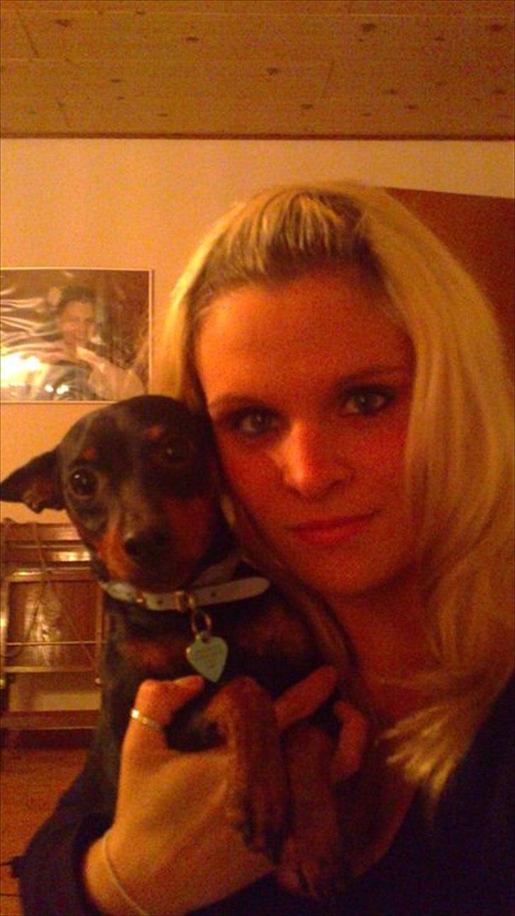 Dvaergpinscher Bevi Zakie - zakie og mig billede 5