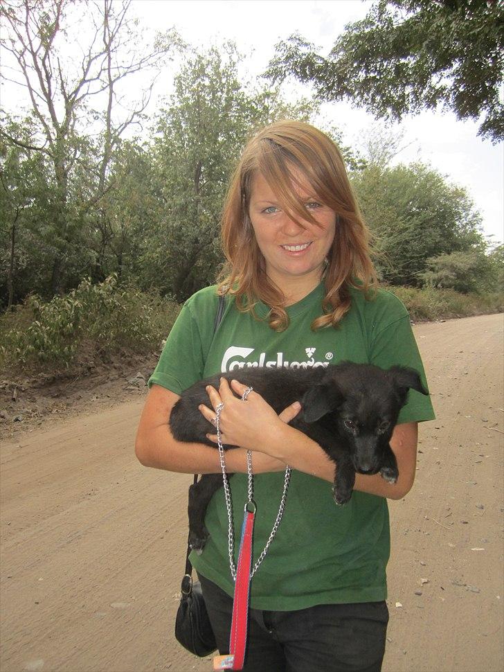 Blanding af racer Salta La Linda - Salta havde ingen krafter til at gå i længere tid.. så vi bar hende meget i starten :( Men hun var da nuser! billede 6