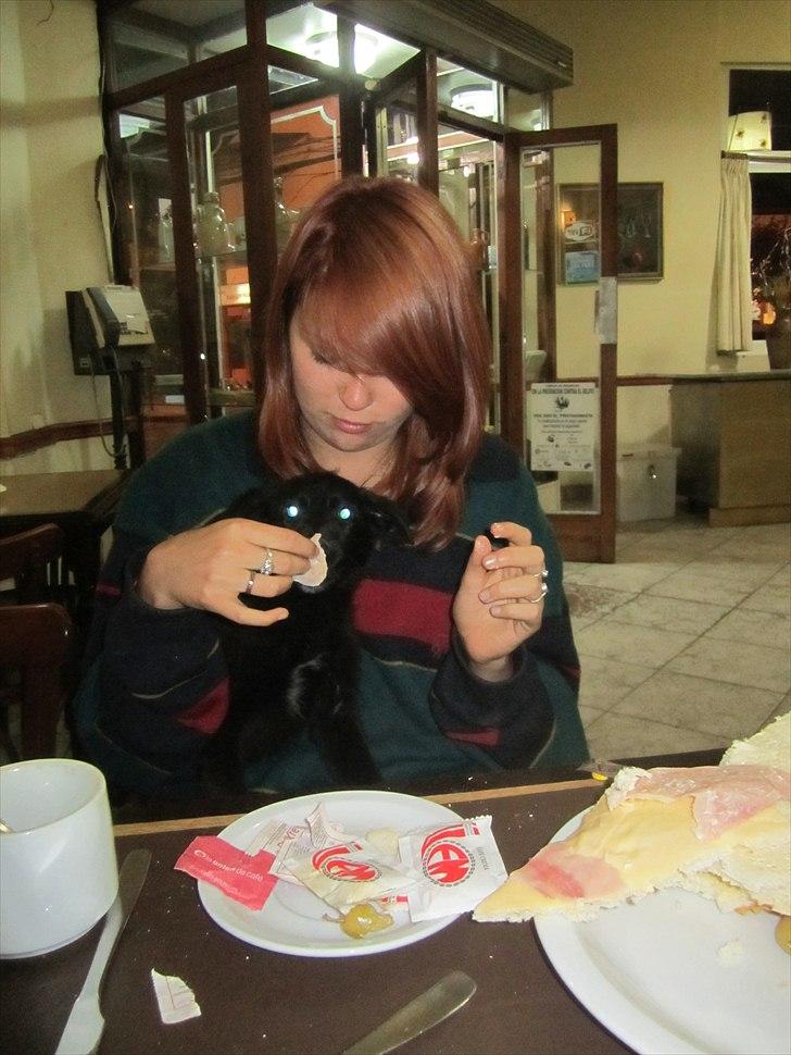 Blanding af racer Salta La Linda - I Argentina er var det i orden at have hund med på restaurent ;) billede 9