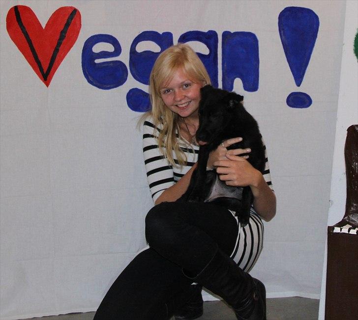 Blanding af racer Salta La Linda billede 12