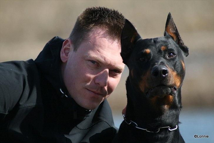 Dobermann Tarzan billede 19