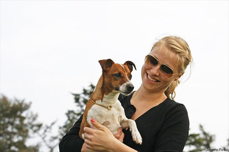 Dansk svensk gaardhund Felix - Joveno Foto
Felix og jeg billede 7