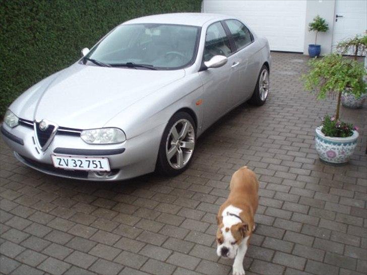 Engelsk bulldog Anton - Her er jeg og Nick´s bil billede 8