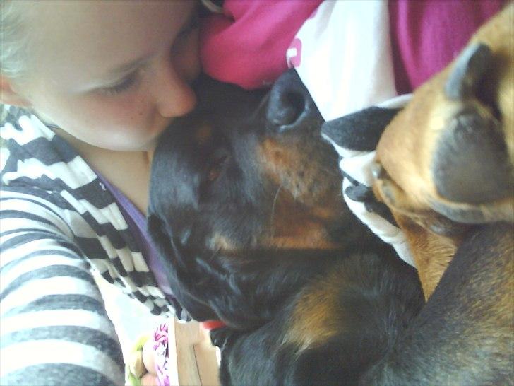 Rottweiler minnie - minnie mijn pige og mig :D billede 6