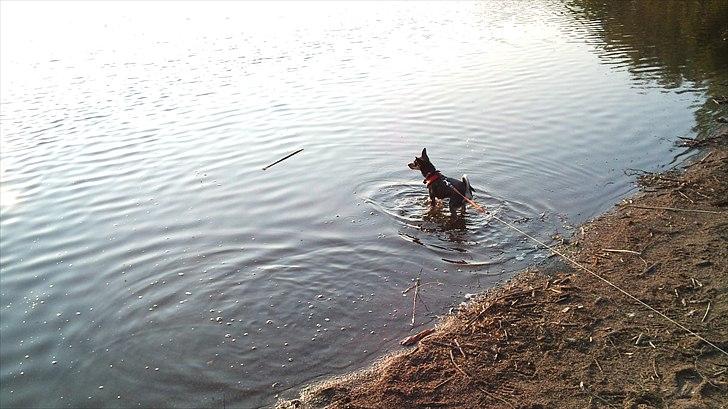 Blanding af racer chanel - uge camping juni 2011 billede 9