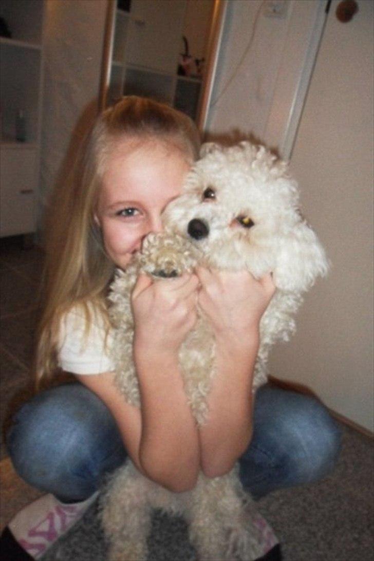 Bolognese Tøffe - Mig & Tøffe <3.
Foto: Mathilde Skouboe. billede 16