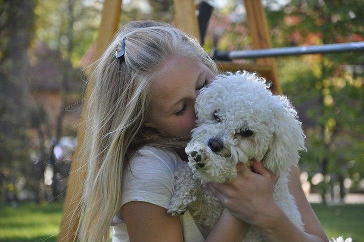 Bolognese Tøffe - Mig & min elskede hund<3.
Foto: Mathilde<3. billede 19