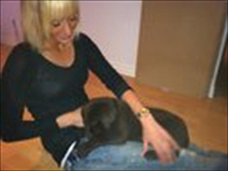 Labrador retriever muffi - Mig og min lille prinsesse :) billede 7