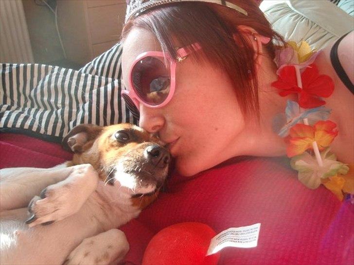 Dansk svensk gaardhund Sille - Hygge tid. :) billede 9