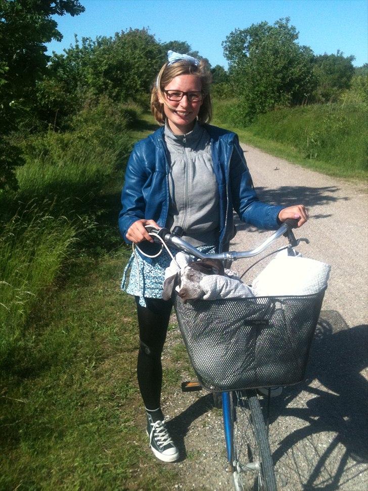 Blanding af racer Sonja  billede 9