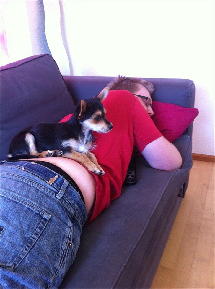 Blanding af racer mille billede 1