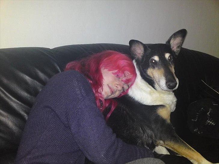 Collie korthåret Filla (R.I.P) - Så blir man krammet bagfra. billede 6