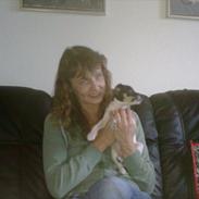 Dansk svensk gaardhund Pjevs. :D