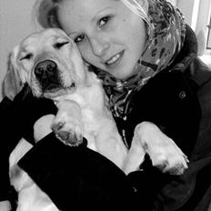 Labrador retriever Cleo