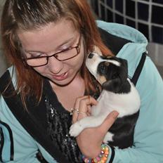 Dansk svensk gaardhund Stella <3