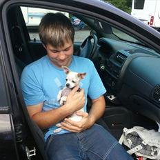 Chihuahua Tequilas valentino