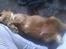 Cocker spaniel Bacio - Der er ikke noget galt i at være lidt buttet :-)