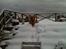 Nova scotia duck tolling retriever Simba - Simba i sne:D