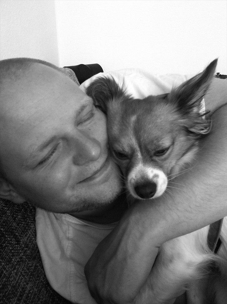 Blanding af racer Tinka'badinka billede 7