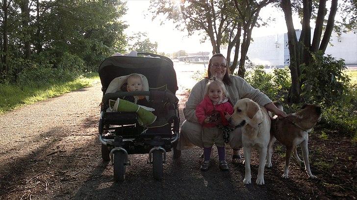 Blanding af racer Deedi  - På tur med familien billede 2