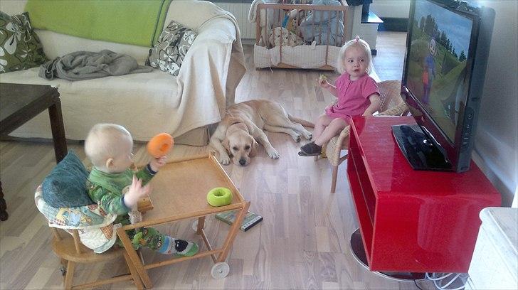 Blanding af racer Deedi  - Tar en slapper billede 5