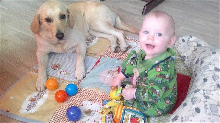 Blanding af racer Deedi  - Leger med Theodor billede 6