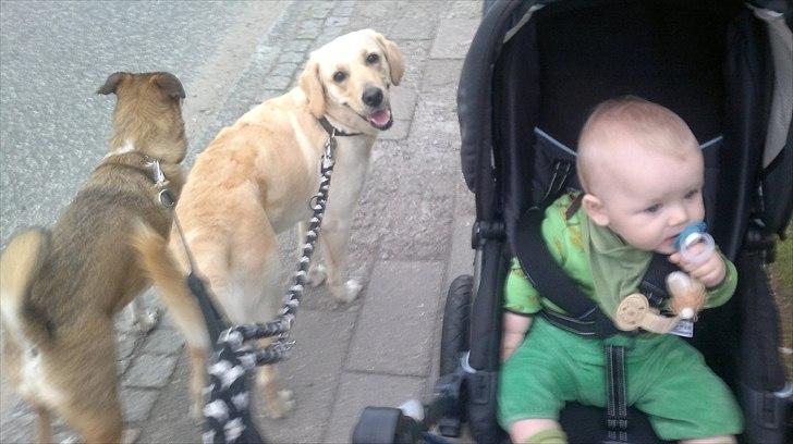 Blanding af racer Deedi  - Hey der :-) billede 8