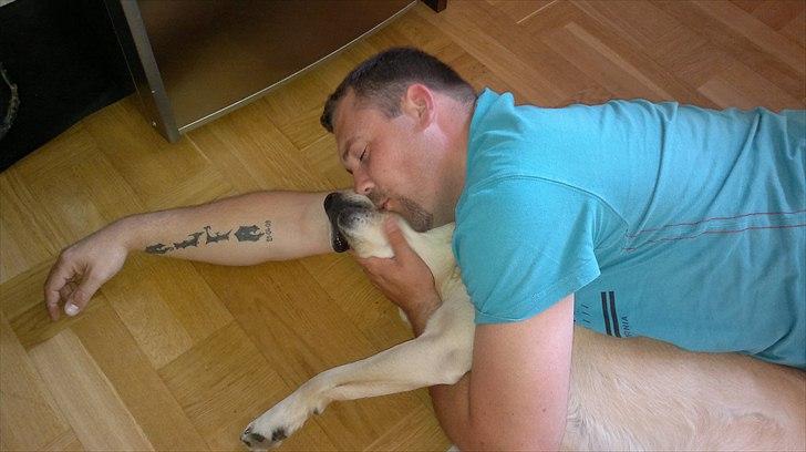 Blanding af racer Deedi  - Hygger med far billede 9