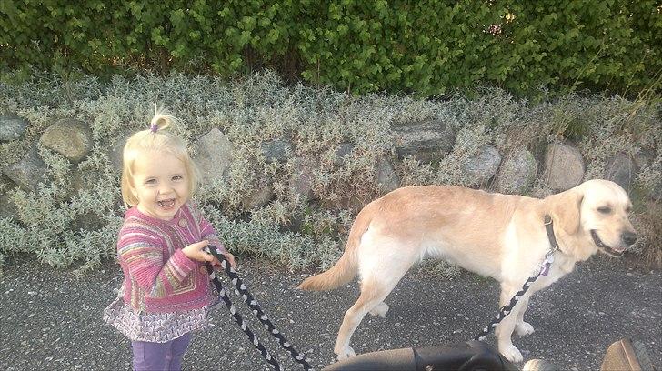 Blanding af racer Deedi  - Alfa går tur med mig... jeg går meeeeget stille og roligt så hun ikke taber snoren billede 10