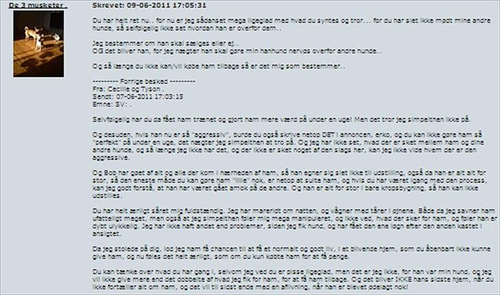 Chihuahua | Bob - vores sidste samtale omkring Bob, hvor hun skriver "Du har helt ret nu..." til de ting, jeg har mistanke til. billede 14