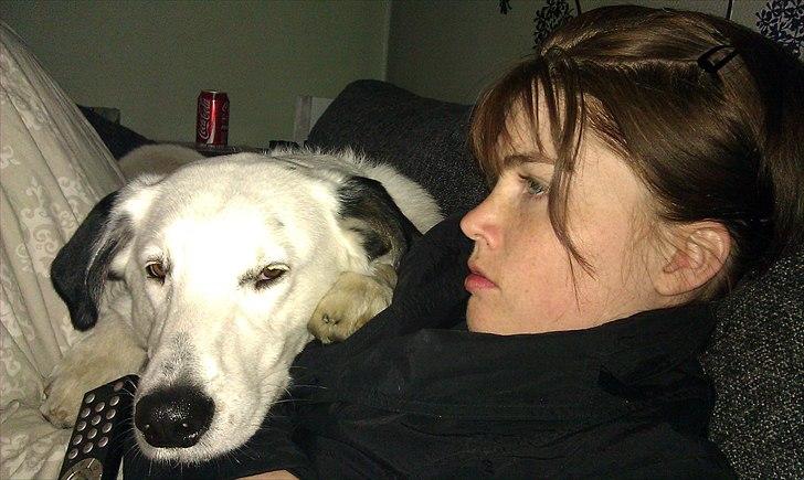 Blanding af racer Snoopy doo billede 15