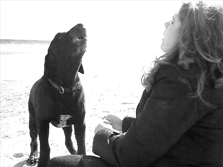 Blanding af racer Chano my soulmate!<3 - two songs 
one soul 
(: <3 billede 2