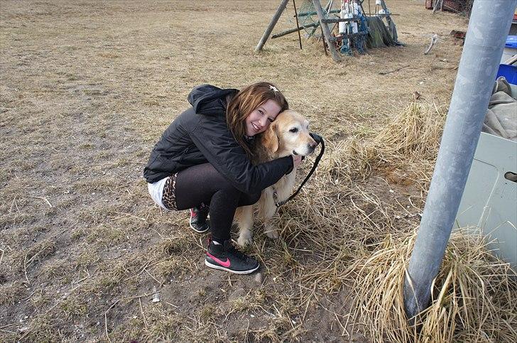 Golden retriever | Malde - Malde & min veninde Emma. billede 15