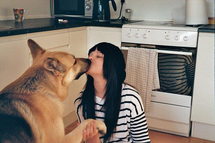 Schæferhund Kenzo - Bliver kysset af min yngste datter Laura billede 4