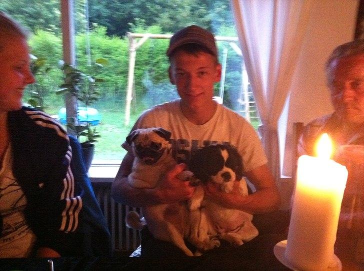 Mops Bailey - Sidder og hygger med Onkel Daniel og min bedste ven Stella:) billede 2