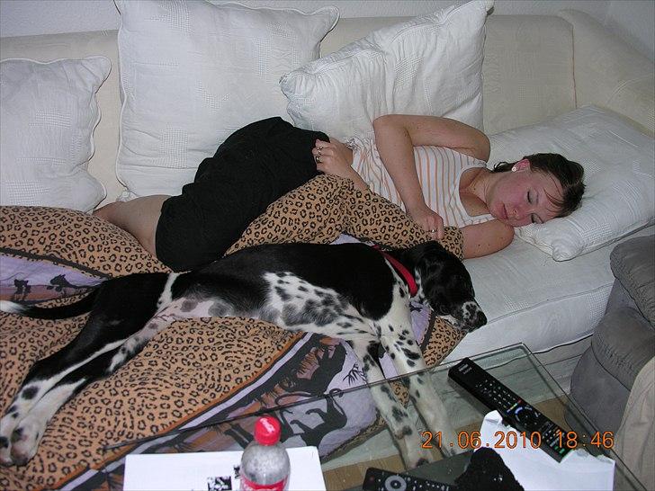 Blanding af racer Alberte - En lille morfar den dag hun kom . :) billede 1