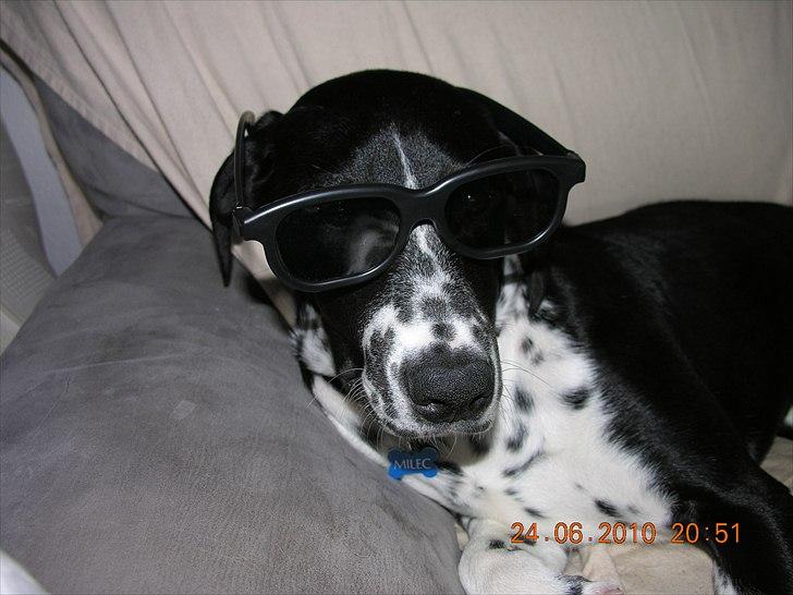 Blanding af racer Alberte - Seje .. :P billede 9